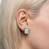 Protein rectangular octagonal ear studs details Picture